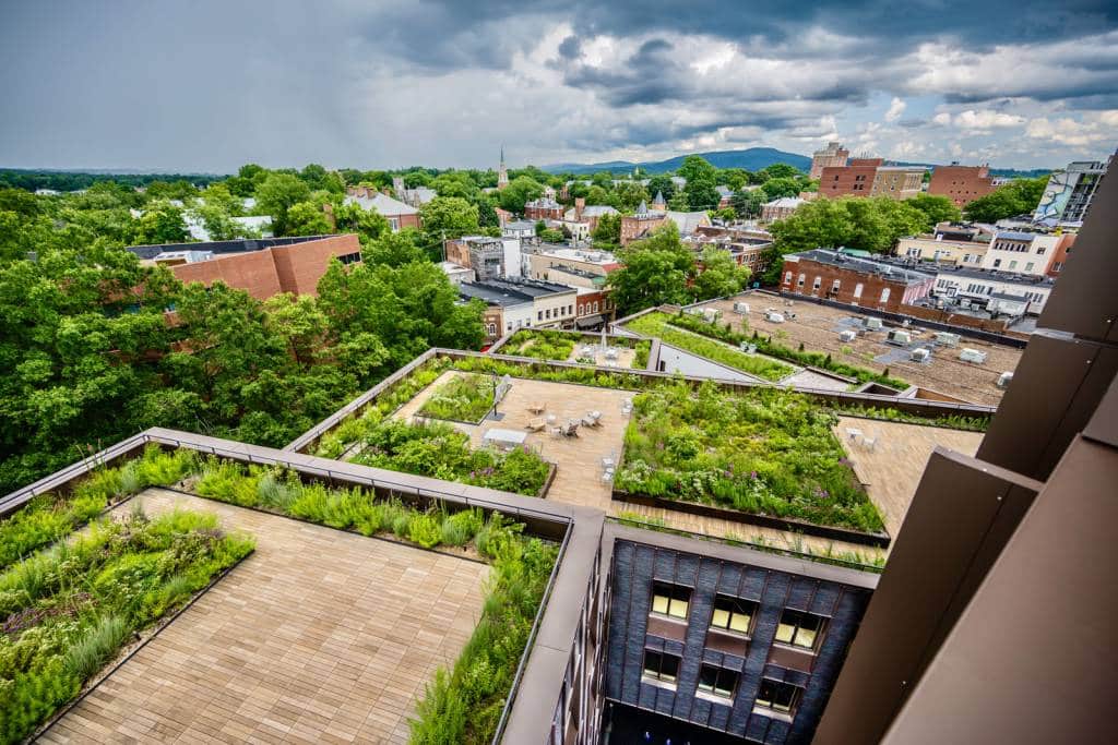 A view of a tiered rooftop garden.